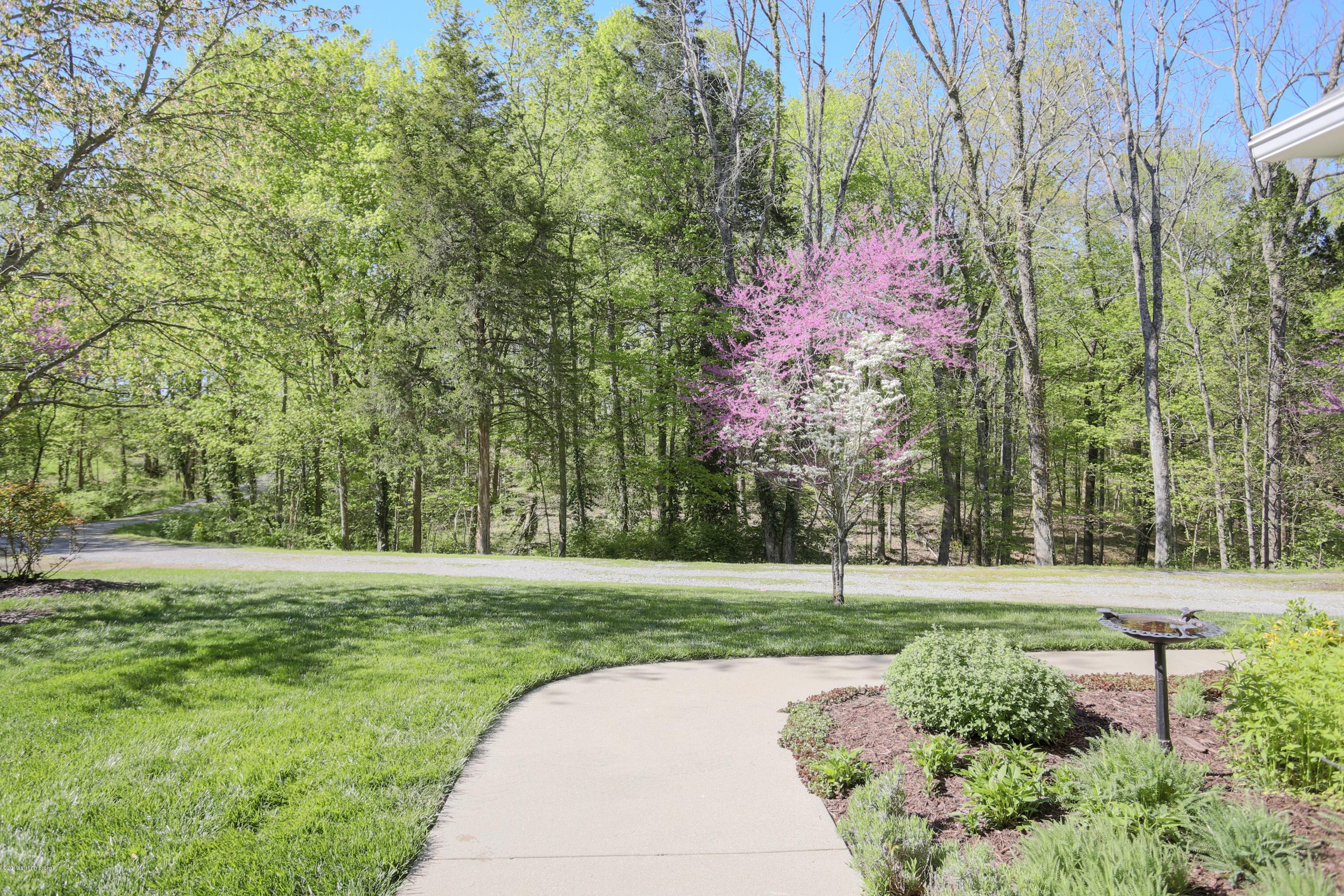 7401 Old Heady Road Louisville, KY 40299 - Photo 48 of 56 Walkway to driveway and front woods
