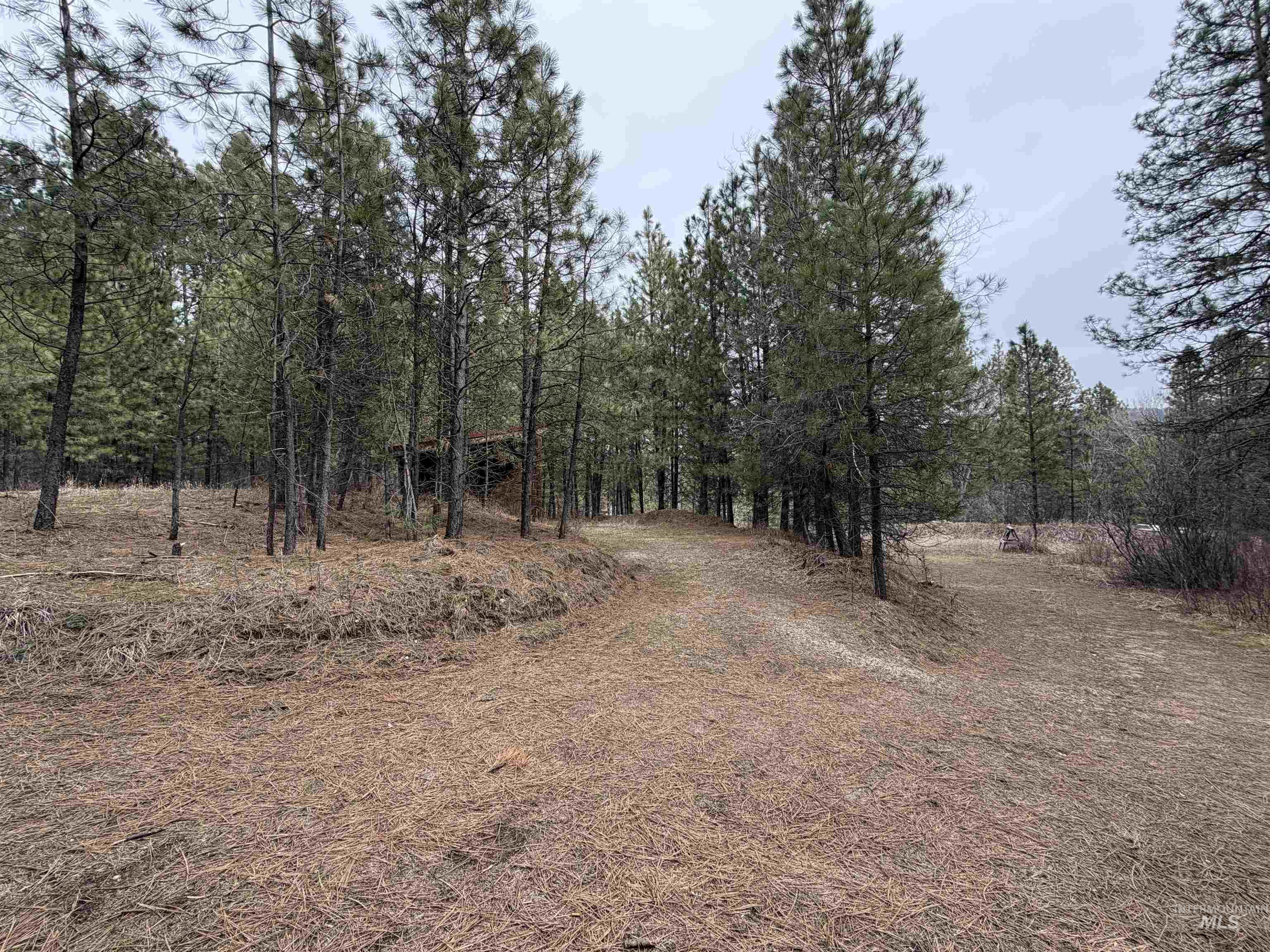 Parcel B South Middlefork Road Garden Valley, ID 83622 - Photo 1 of 12 View of undeveloped land