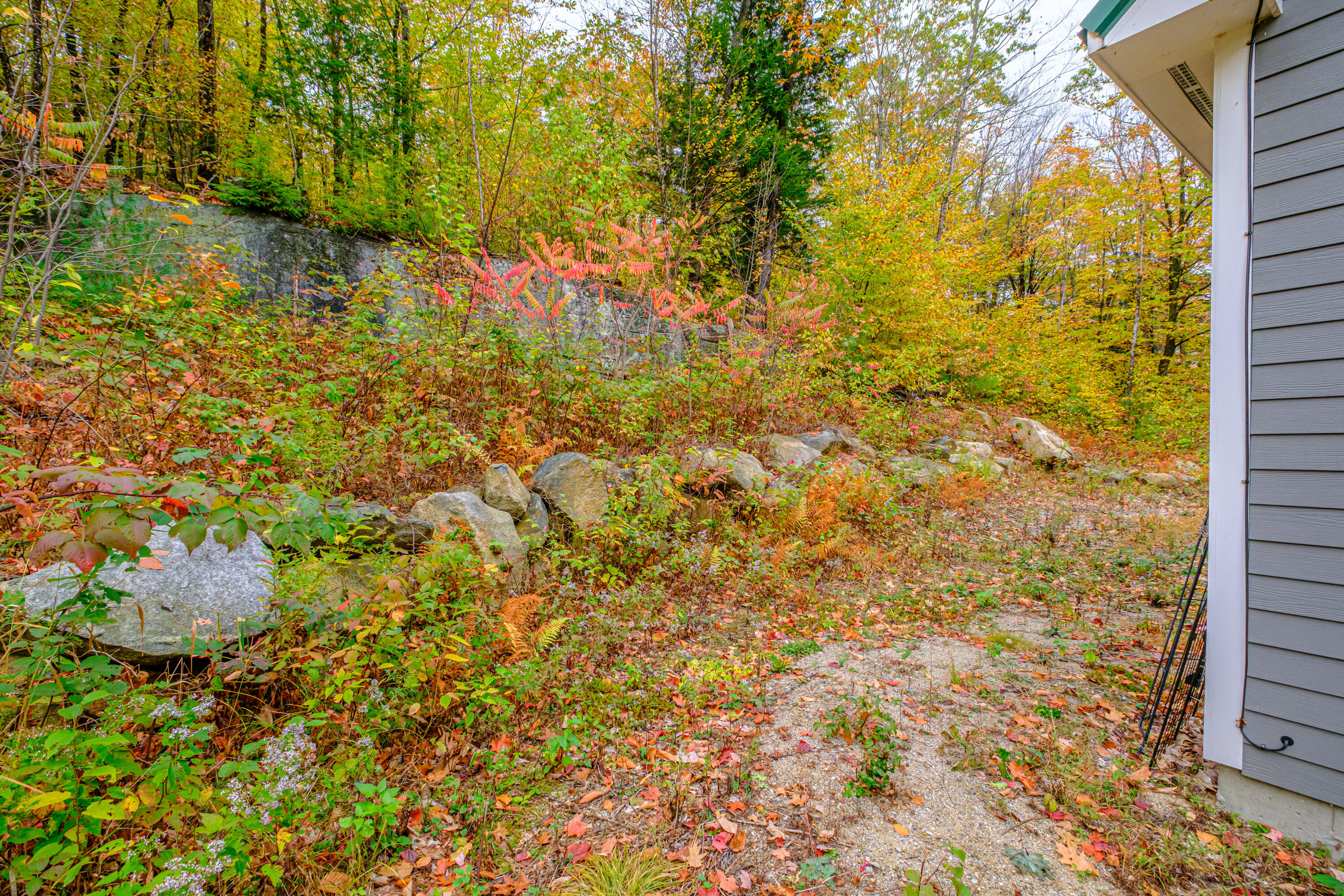 425 Grover Hill Road Bethel, ME 04217 - Photo 35 of 42 20251014gp-62043