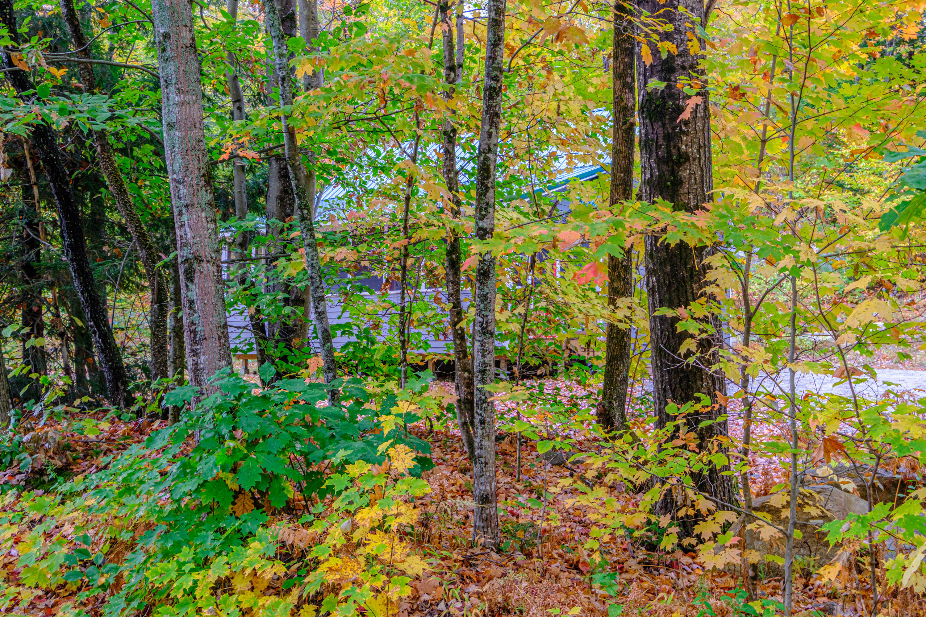 425 Grover Hill Road Bethel, ME 04217 - Photo 40 of 42 20251014gp-62002