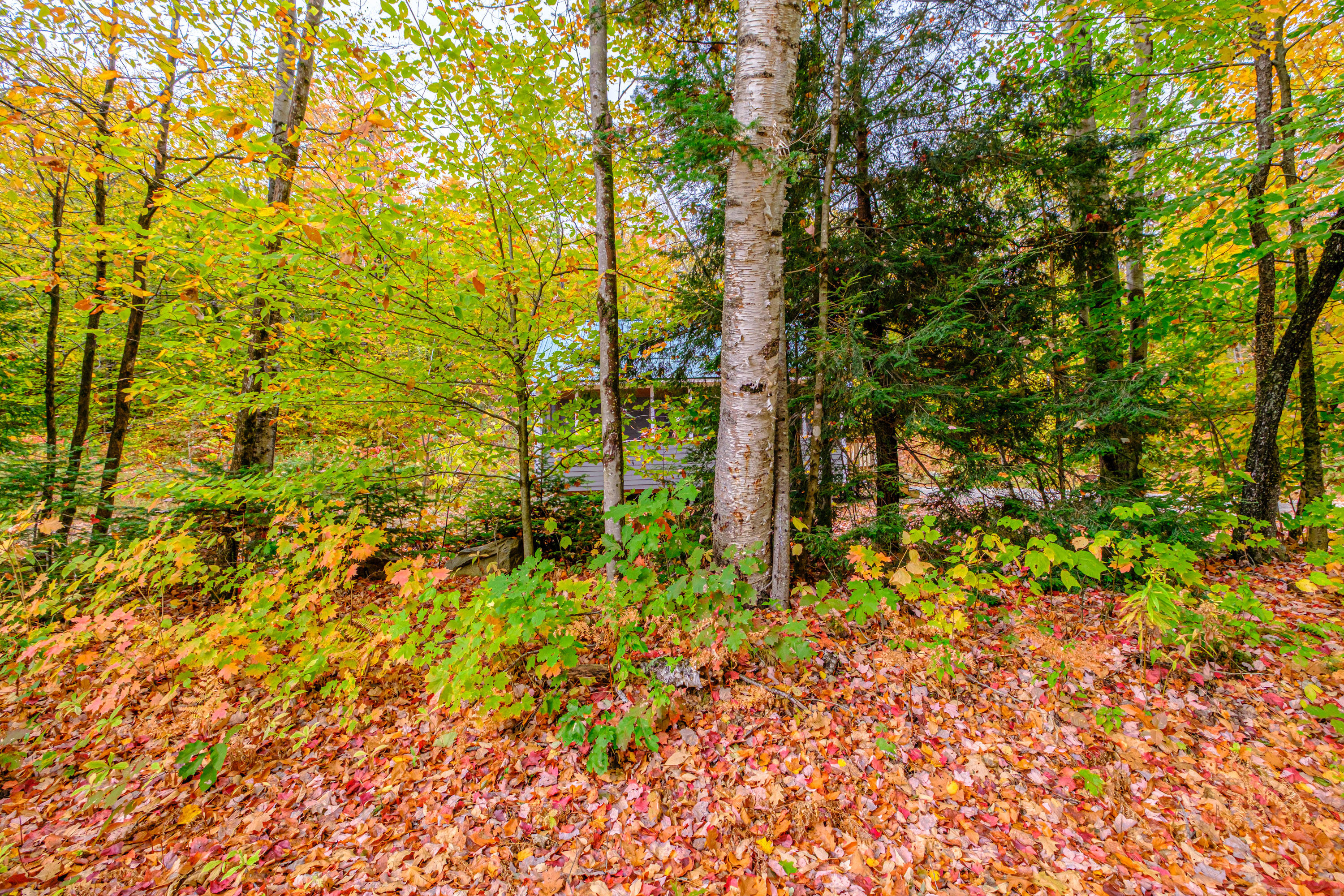 425 Grover Hill Road Bethel, ME 04217 - Photo 41 of 42 20251014gp-62001