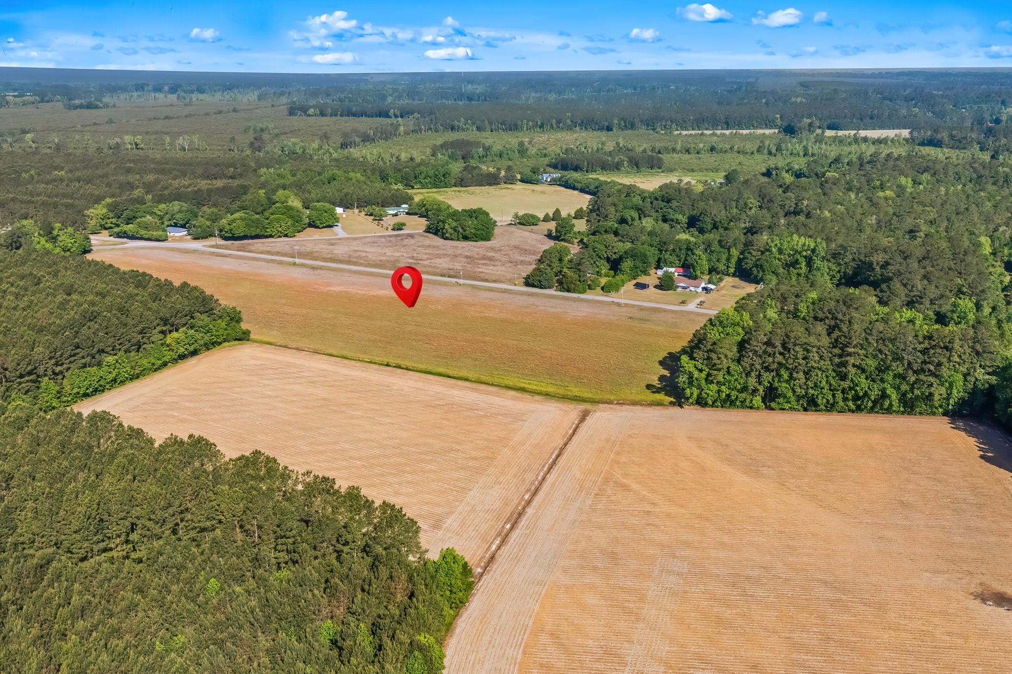 Tbd Ray Road Hemingway, SC 29554 - Photo 10 of 24