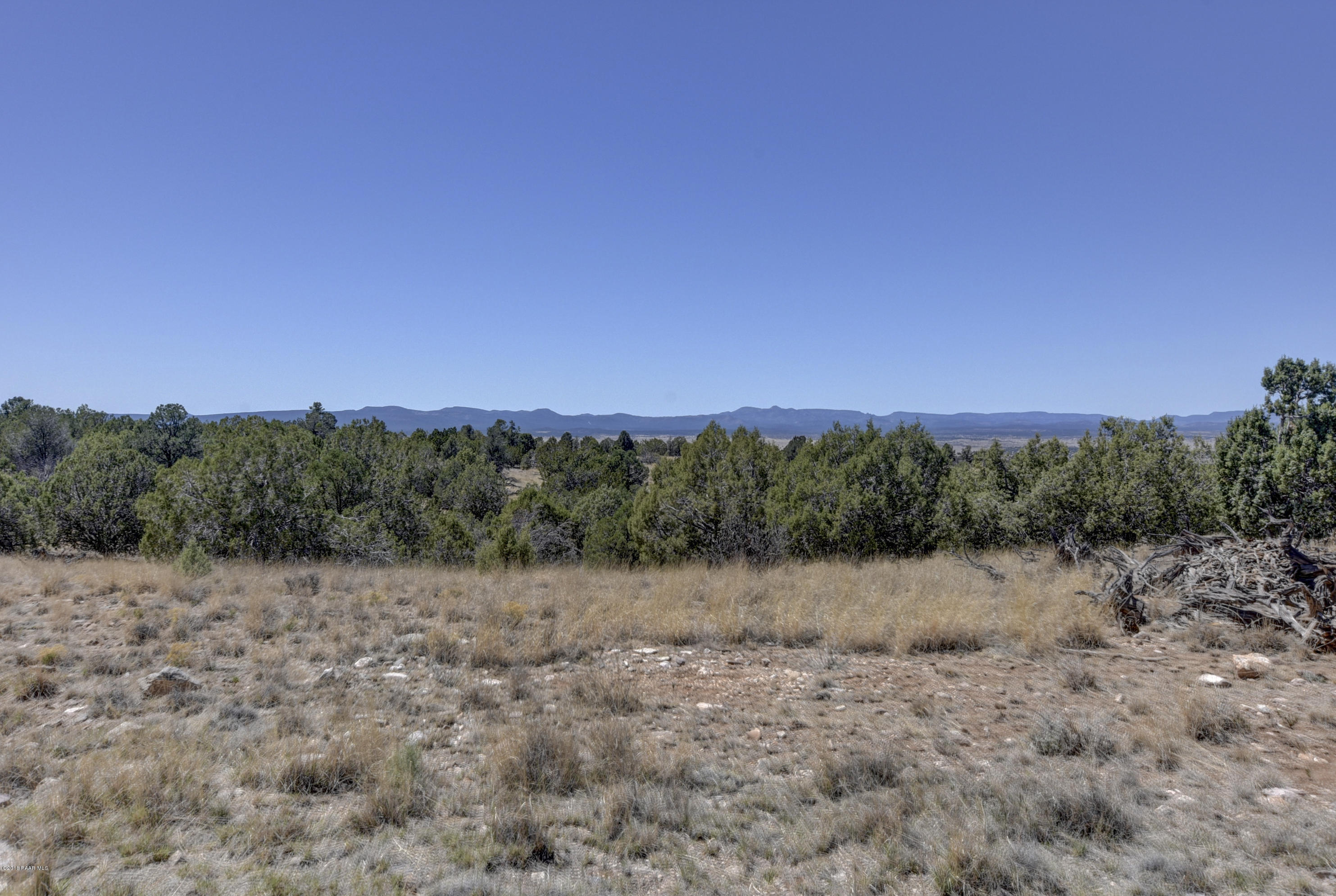 18500 Crossroads Ranch Road Prescott, AZ 86305 - Photo 11 of 21 a view of a dry yard with trees in the background