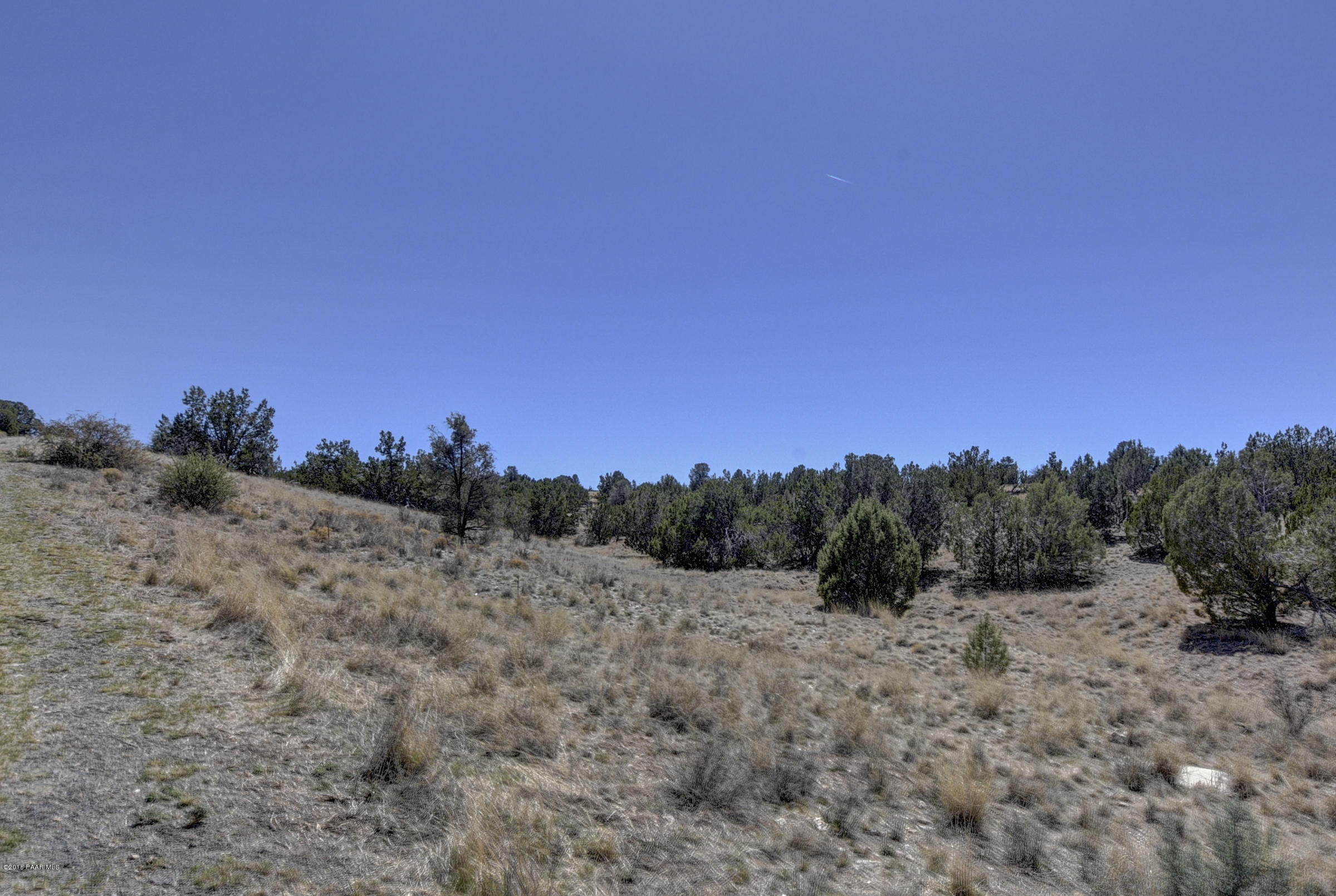 18500 Crossroads Ranch Road Prescott, AZ 86305 - Photo 13 of 21 a view of a dry yard with trees in the background