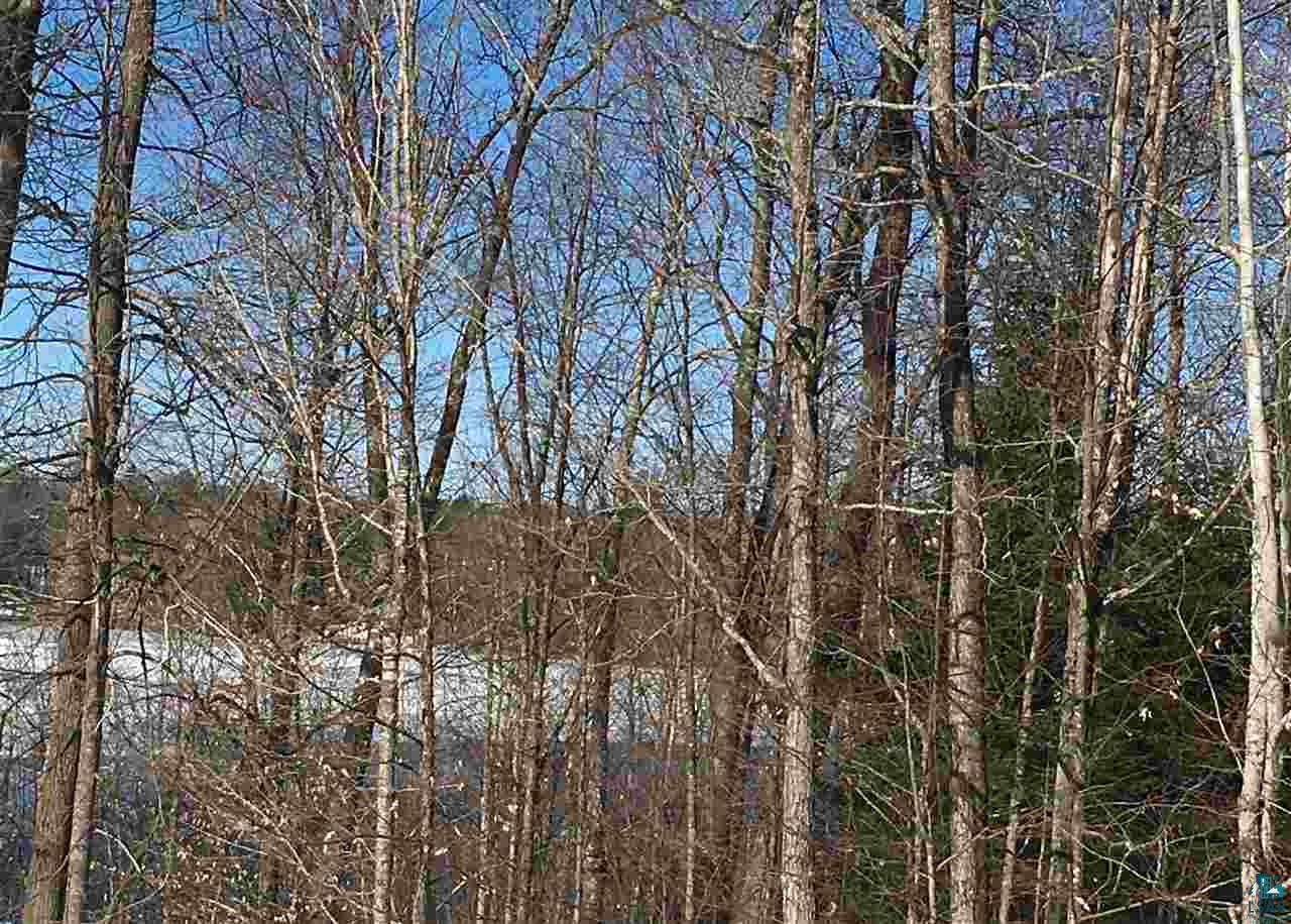 0 South Iron Lake Road Iron River, WI 54847 - Photo 6 of 9 Gallery Image 6