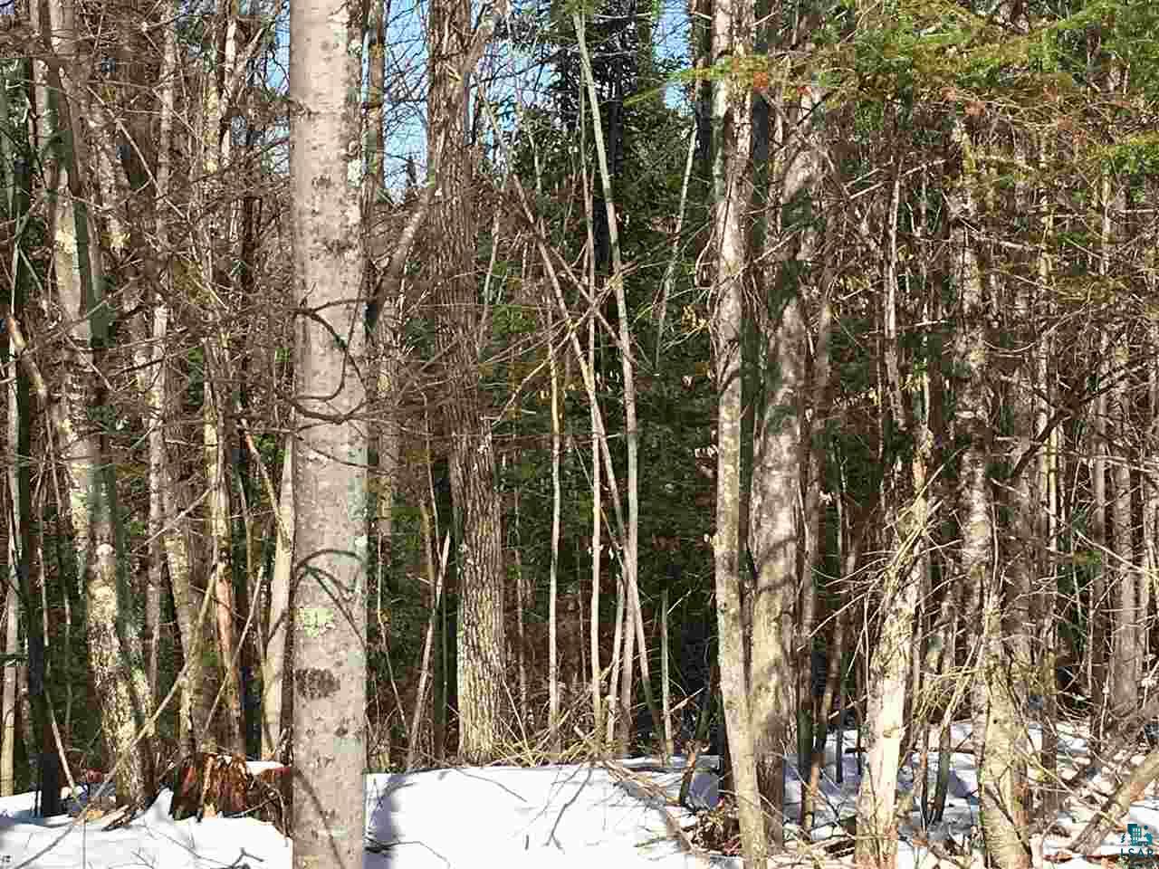 0 South Iron Lake Road Iron River, WI 54847 - Photo 8 of 9 Gallery Image 8