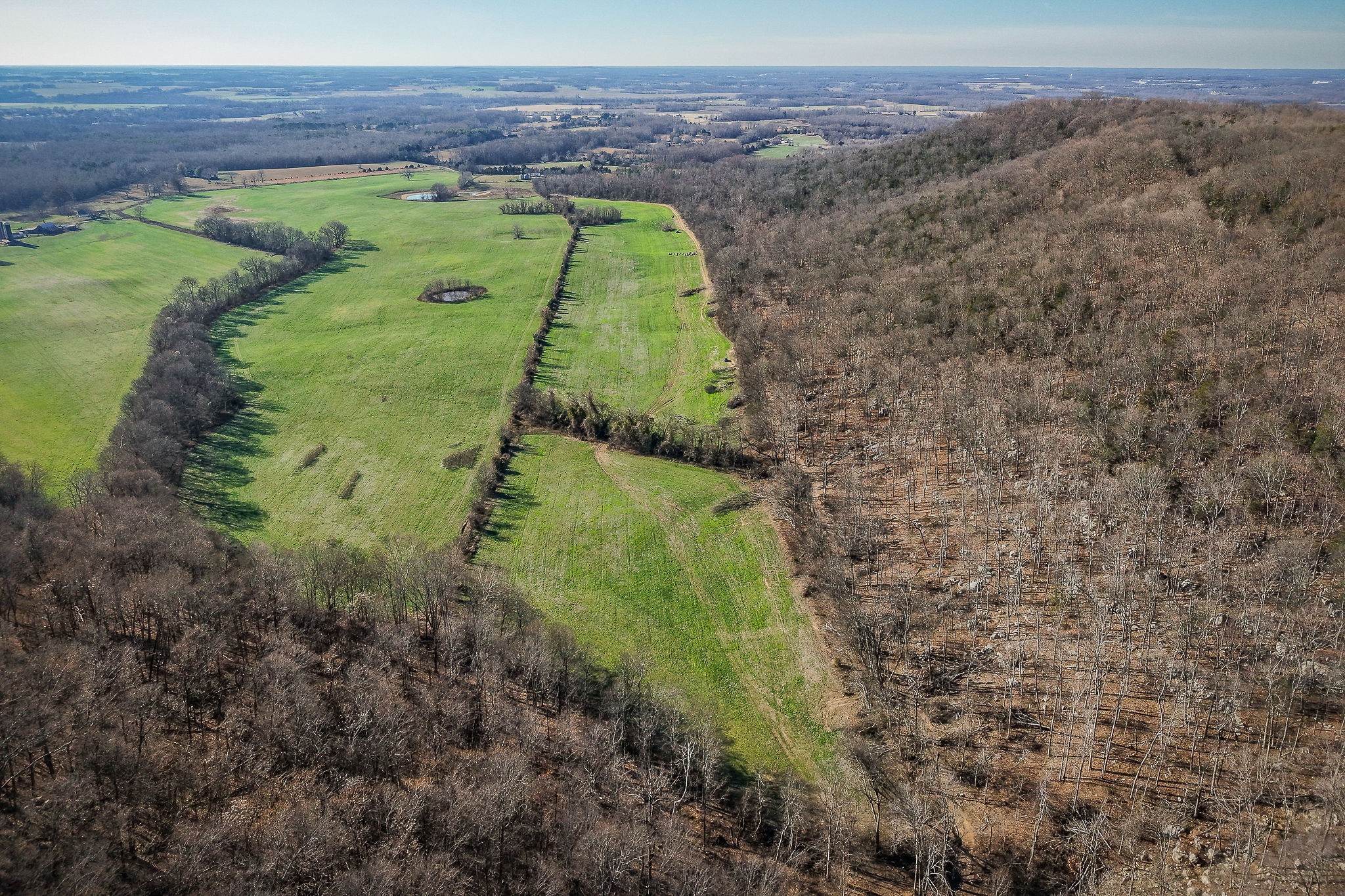 505 Thaxton Road McMinnville, TN 37110 - Photo 9 of 31 a view of a yard