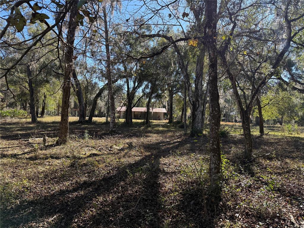 18630 Bradshaw Road Dade City, FL 33523 - Photo 38 of 43 a view of outdoor space with trees