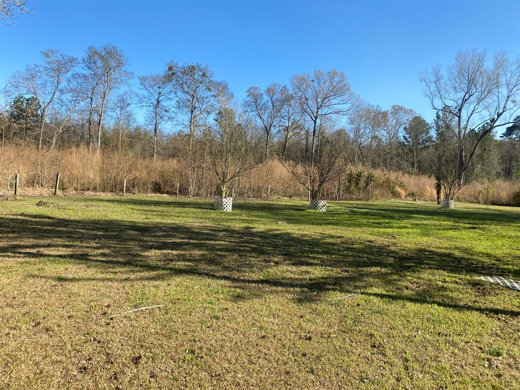 1645 Blewer Road Cope, SC 29038 - Photo 19 of 21 Photo 19