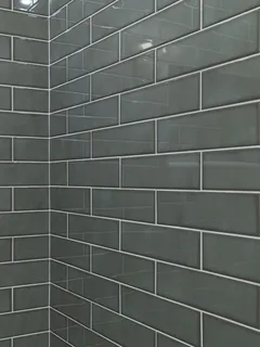 a bathroom with a shower and a window
