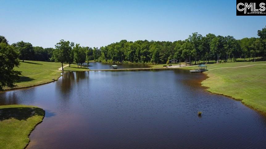 3296 Flat Rock Road Kershaw, SC 29067 - Photo 8 of 94