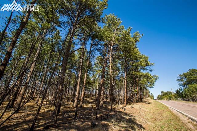 7680 Shoup Road Colorado Springs, CO 80908 - Photo 2 of 36 Gallery Image 2