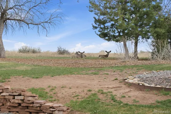 $1,875,000 | 4 Blue Grouse Ridge Road, Littleton, CO 80127