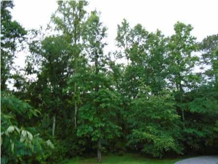 11313 Bates Road Apison, TN 37302 - Photo 4 of 17 Additional Photo