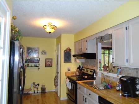 11313 Bates Road Apison, TN 37302 - Photo 10 of 17 Additional Photo