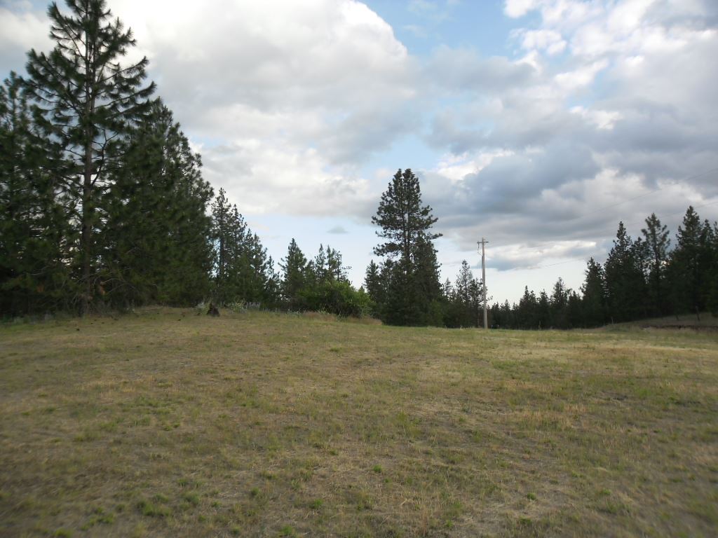5641 South Swenson Road Nine Mile Falls, WA 99026 - Photo 19 of 20 Gallery Image 19