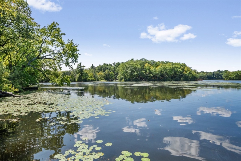 75 Riverview Avenue Waltham, MA 02453 - Photo 36 of 41