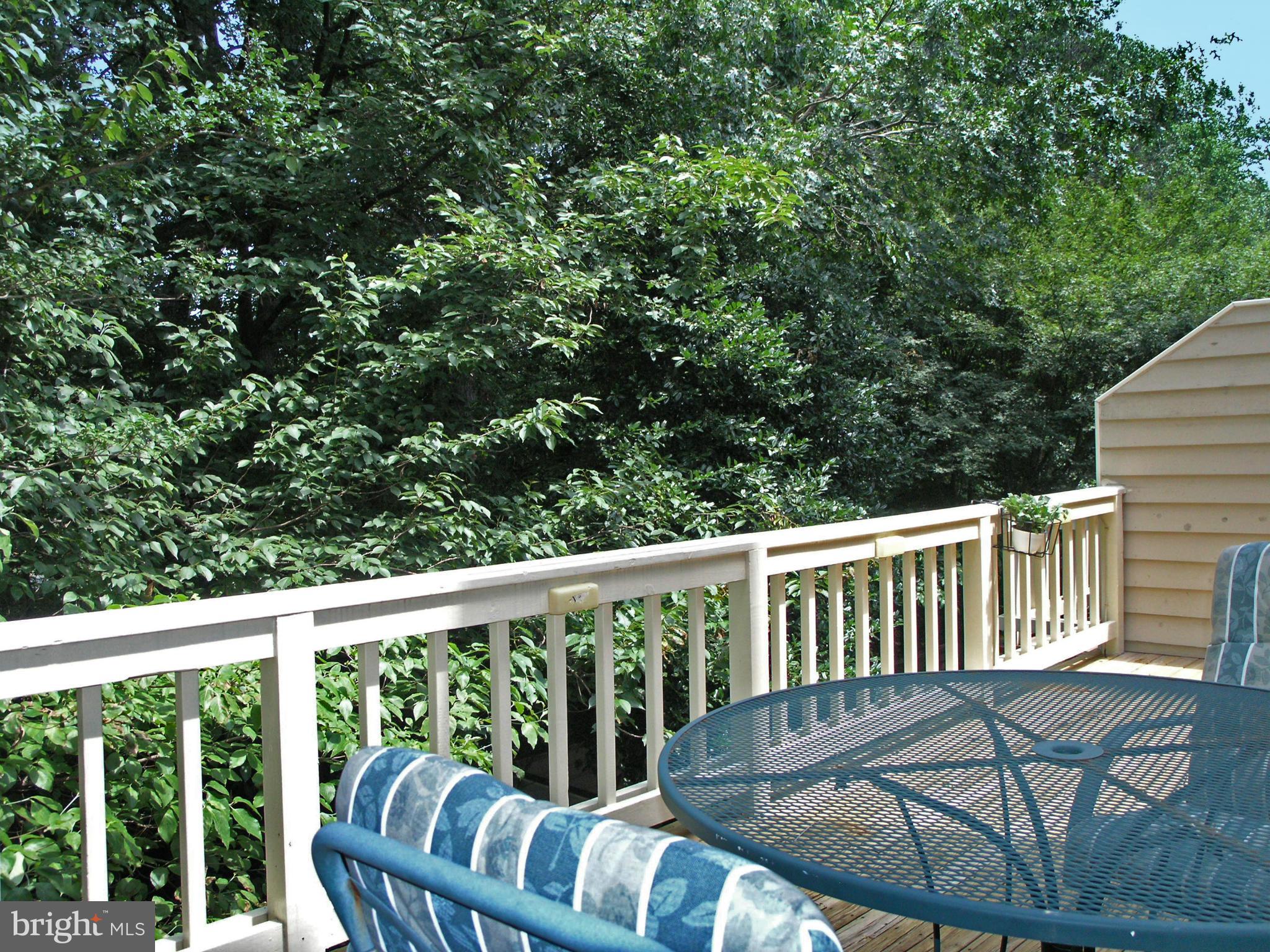 11554 Hemingway Drive Reston, VA 20194 - Photo 14 of 30 Deck