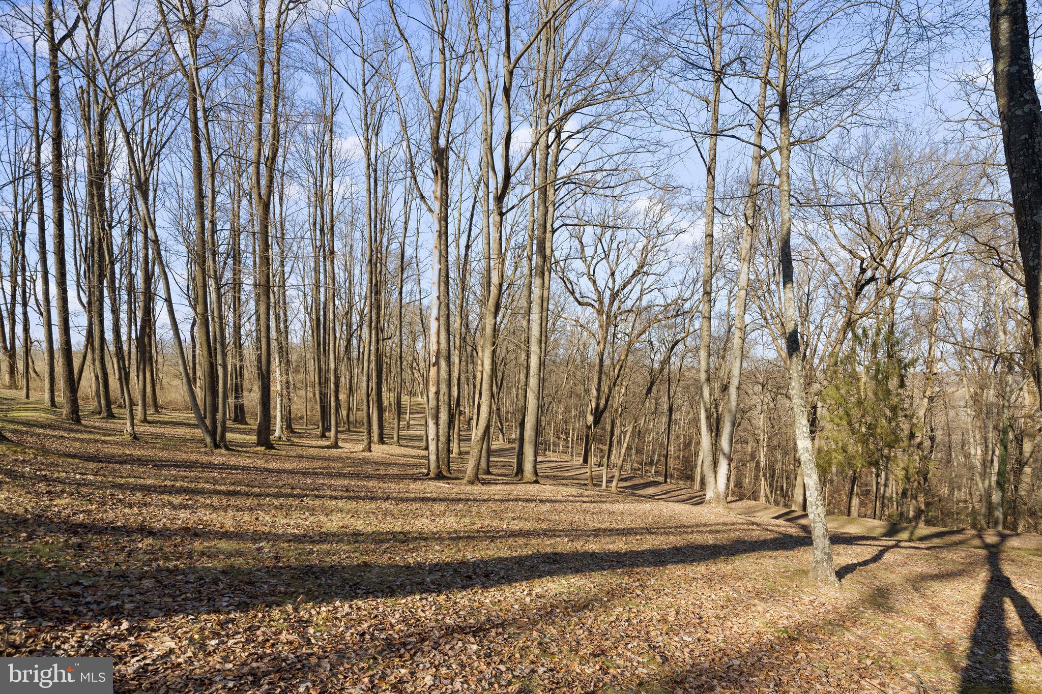 3216 Comfort Road New Hope, PA 18938 - Photo 46 of 49