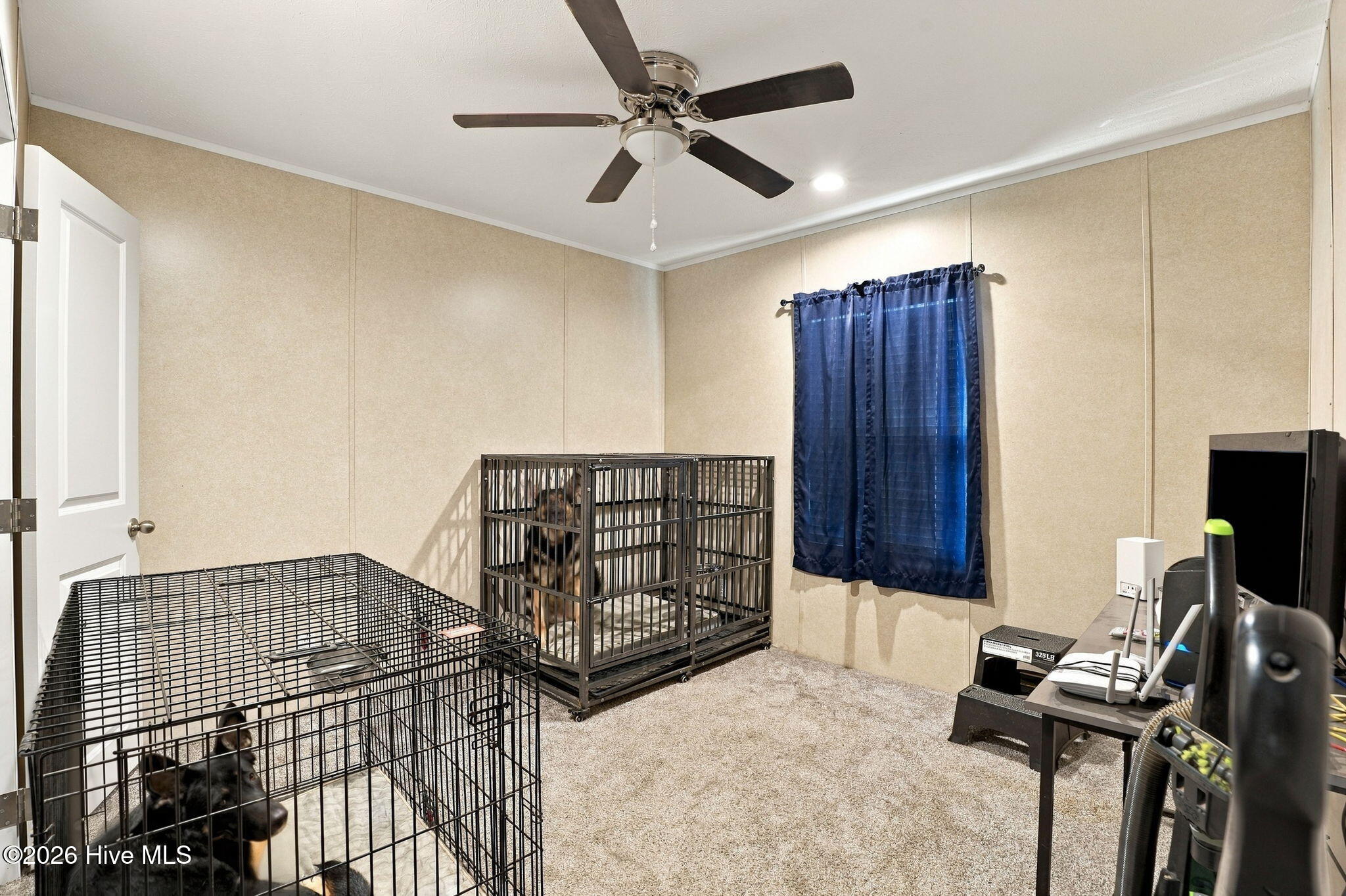 3875 White Oak Road Enfield, NC 27823 - Photo 17 of 23 Gallery Image 17