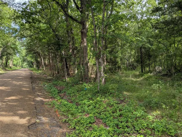 a view of outdoor space and green space