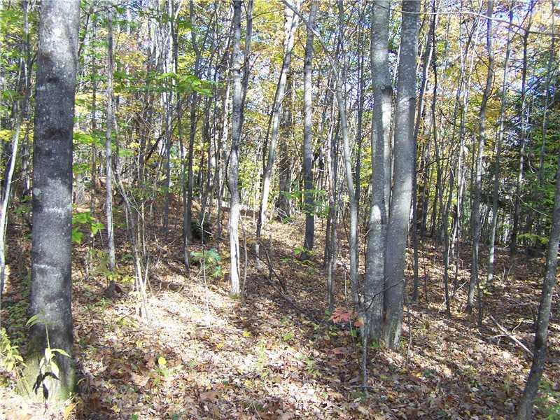 24-25 Birch Estates Rome, ME 04963 - Photo 5 of 9 Land/Lot.