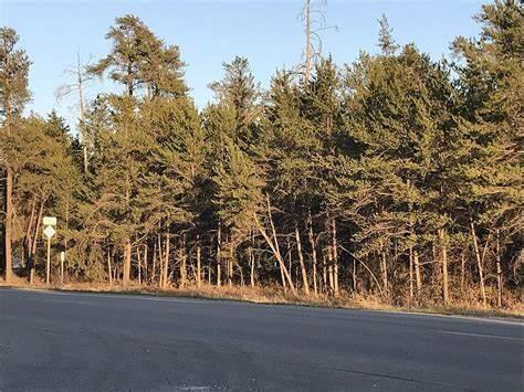 South Staley Road Grayling, MI 49738 - Photo 3 of 6 Gallery Image 3