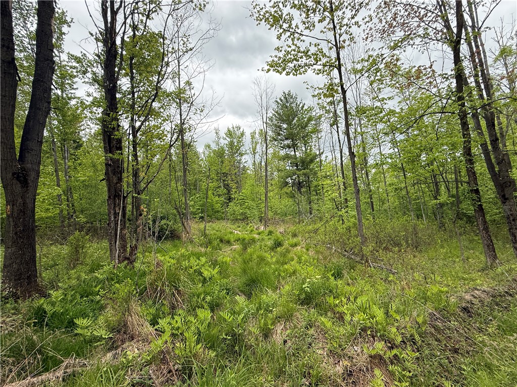 Hawley Road Bradford, NY 14815 - Photo 8 of 42