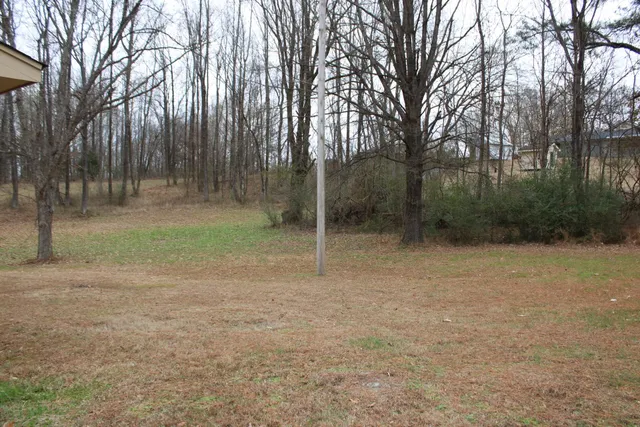 a backyard of a house with lots of green space