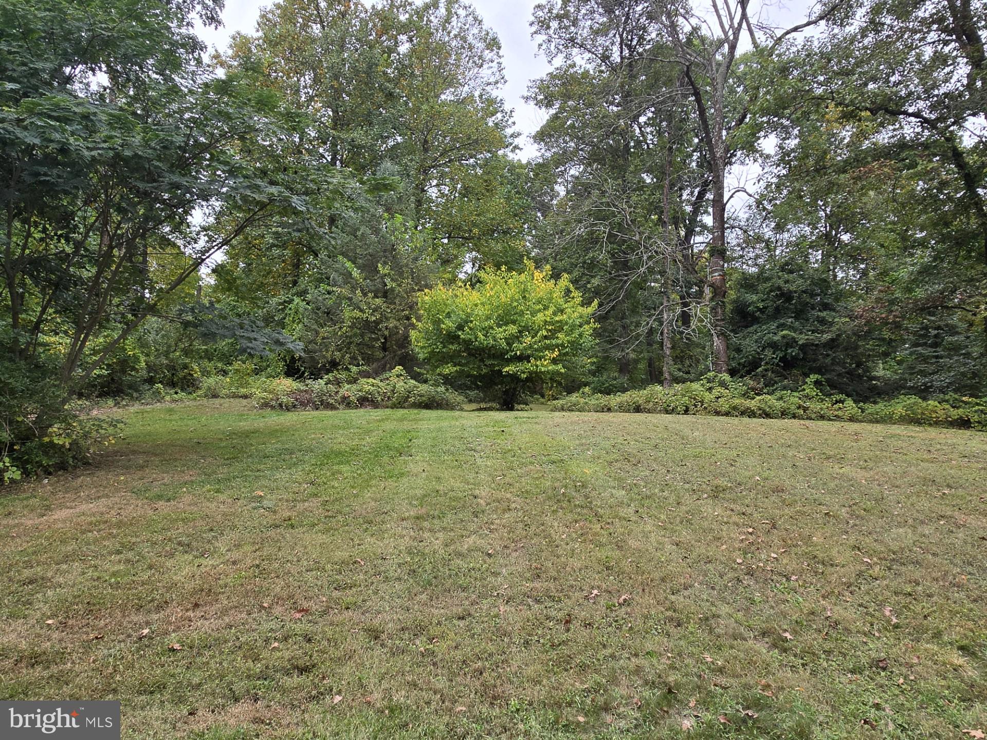 73 Old Company Road Barto, PA 19504 - Photo 36 of 44 Yard