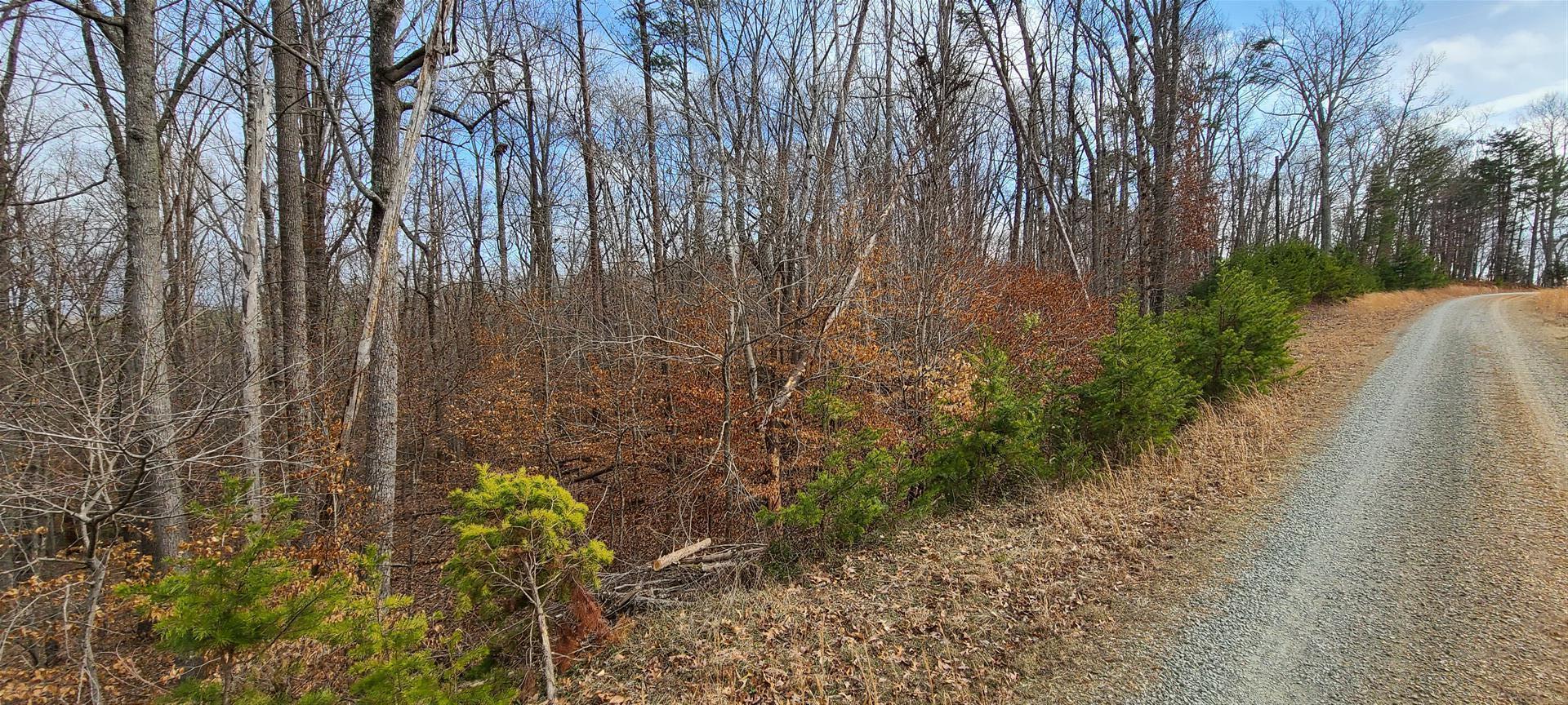 13 Drawbridge Road Pittsville, VA 24139 - Photo 17 of 63 20220109_120036 (Large)