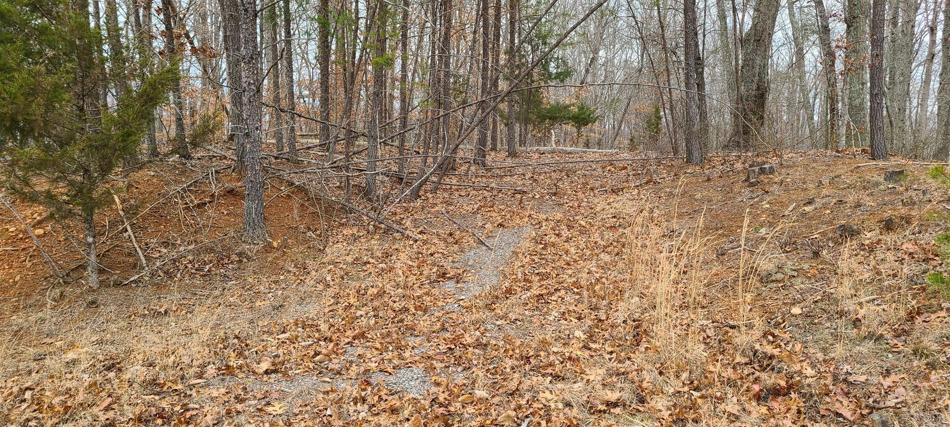 13 Drawbridge Road Pittsville, VA 24139 - Photo 19 of 63 20220109_121423 (Large)