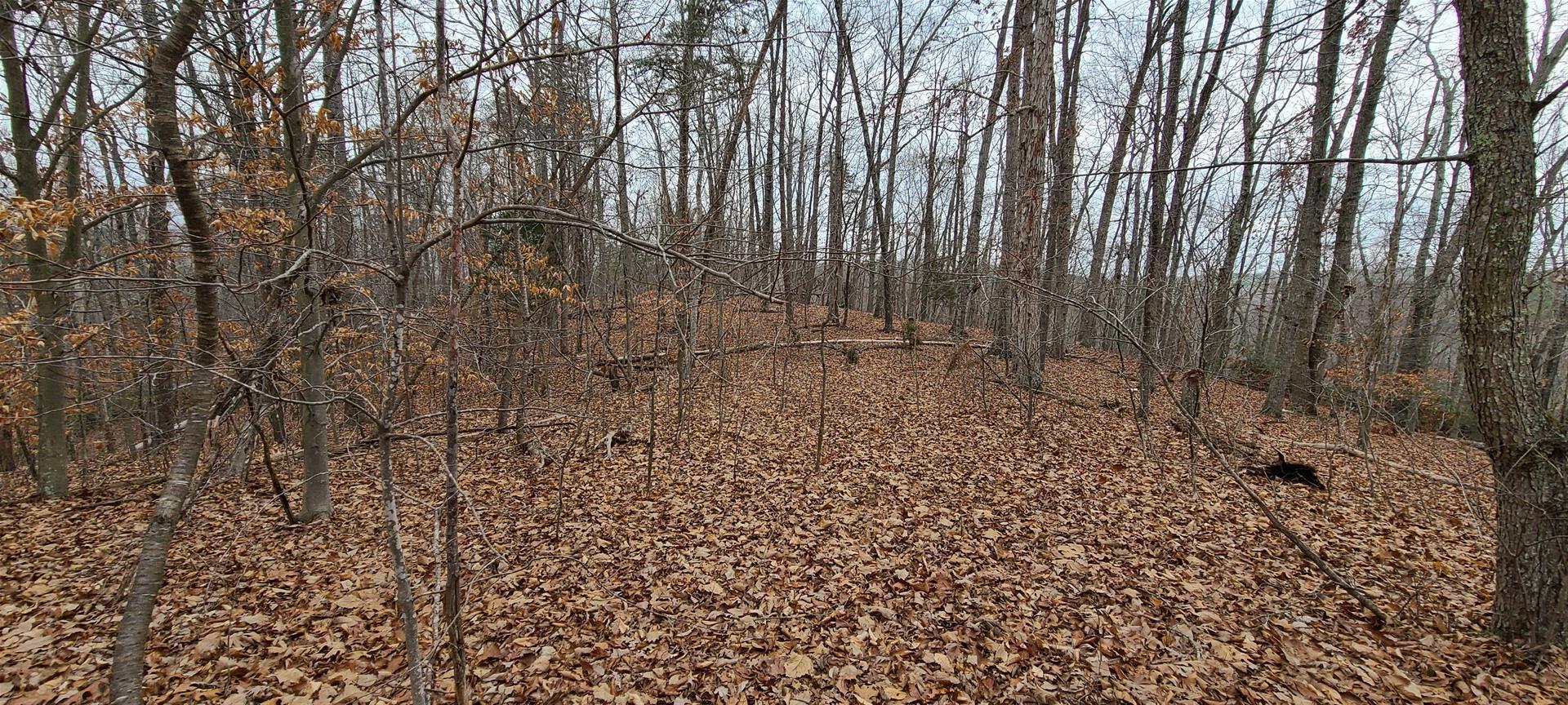 13 Drawbridge Road Pittsville, VA 24139 - Photo 25 of 63 20220109_121802 (Large)