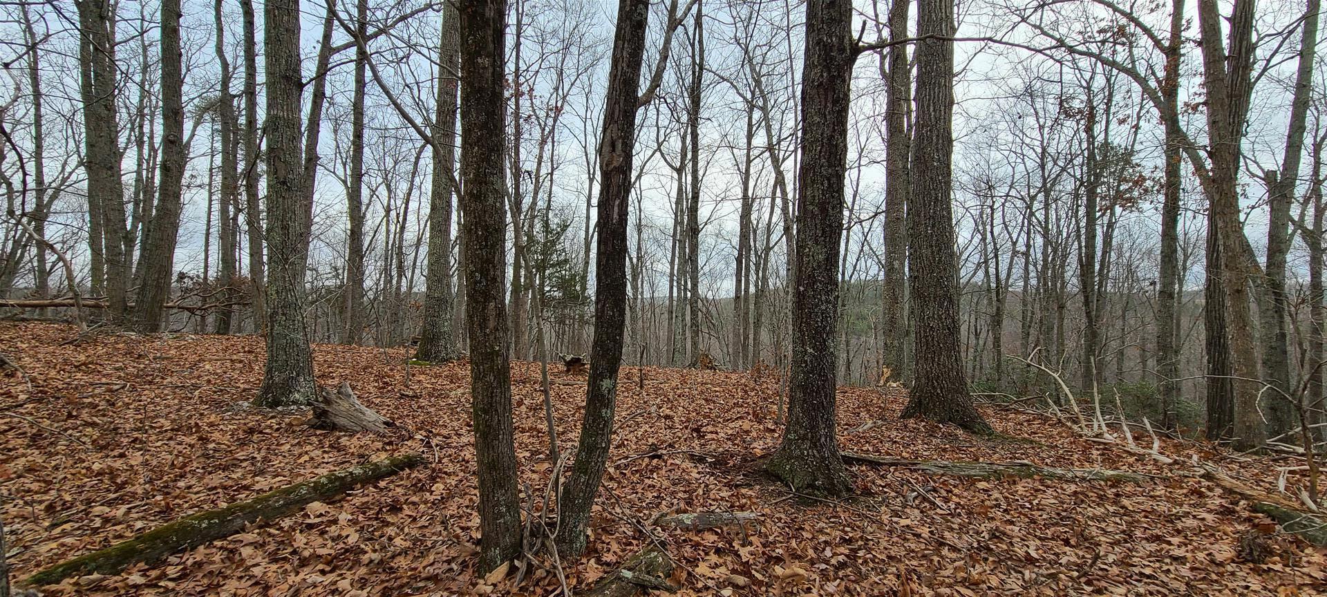 13 Drawbridge Road Pittsville, VA 24139 - Photo 26 of 63 20220109_121841 (Large)
