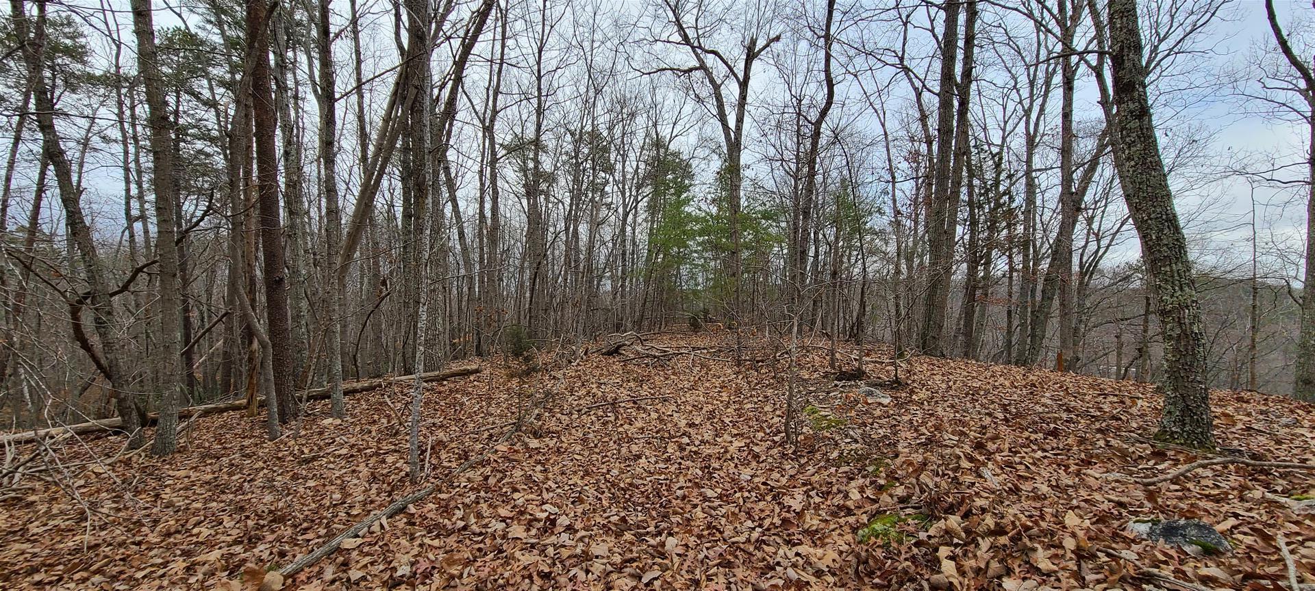 13 Drawbridge Road Pittsville, VA 24139 - Photo 28 of 63 20220109_121951 (Large)