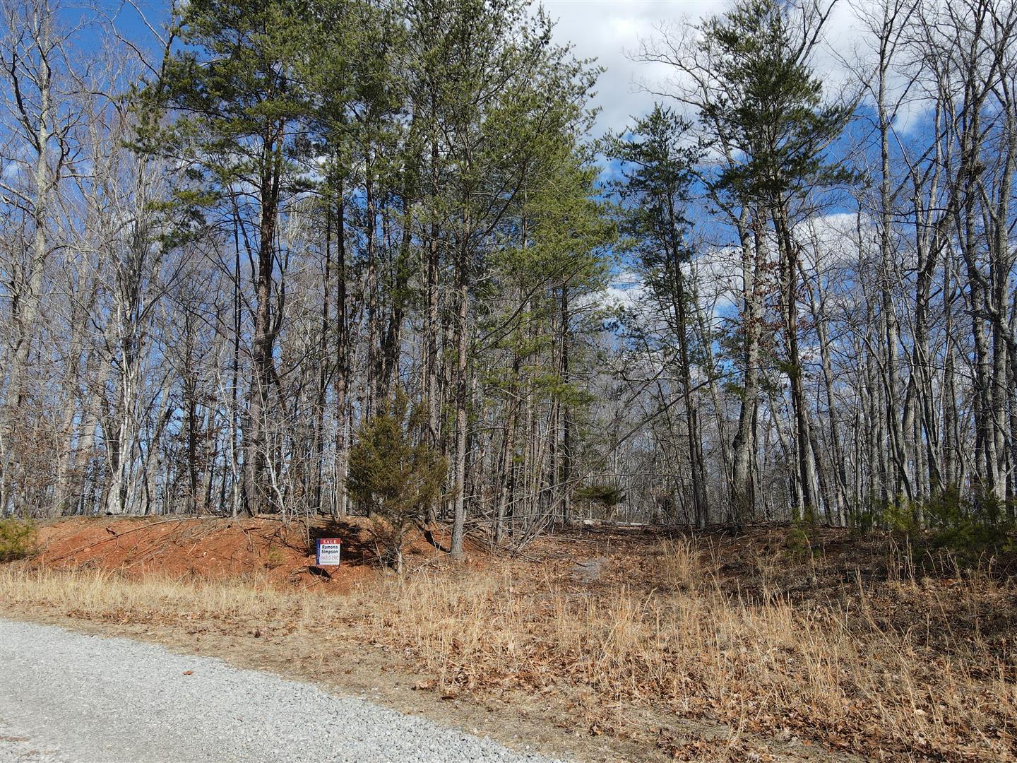 13 Drawbridge Road Pittsville, VA 24139 - Photo 50 of 63 DJI_0068 (Large)