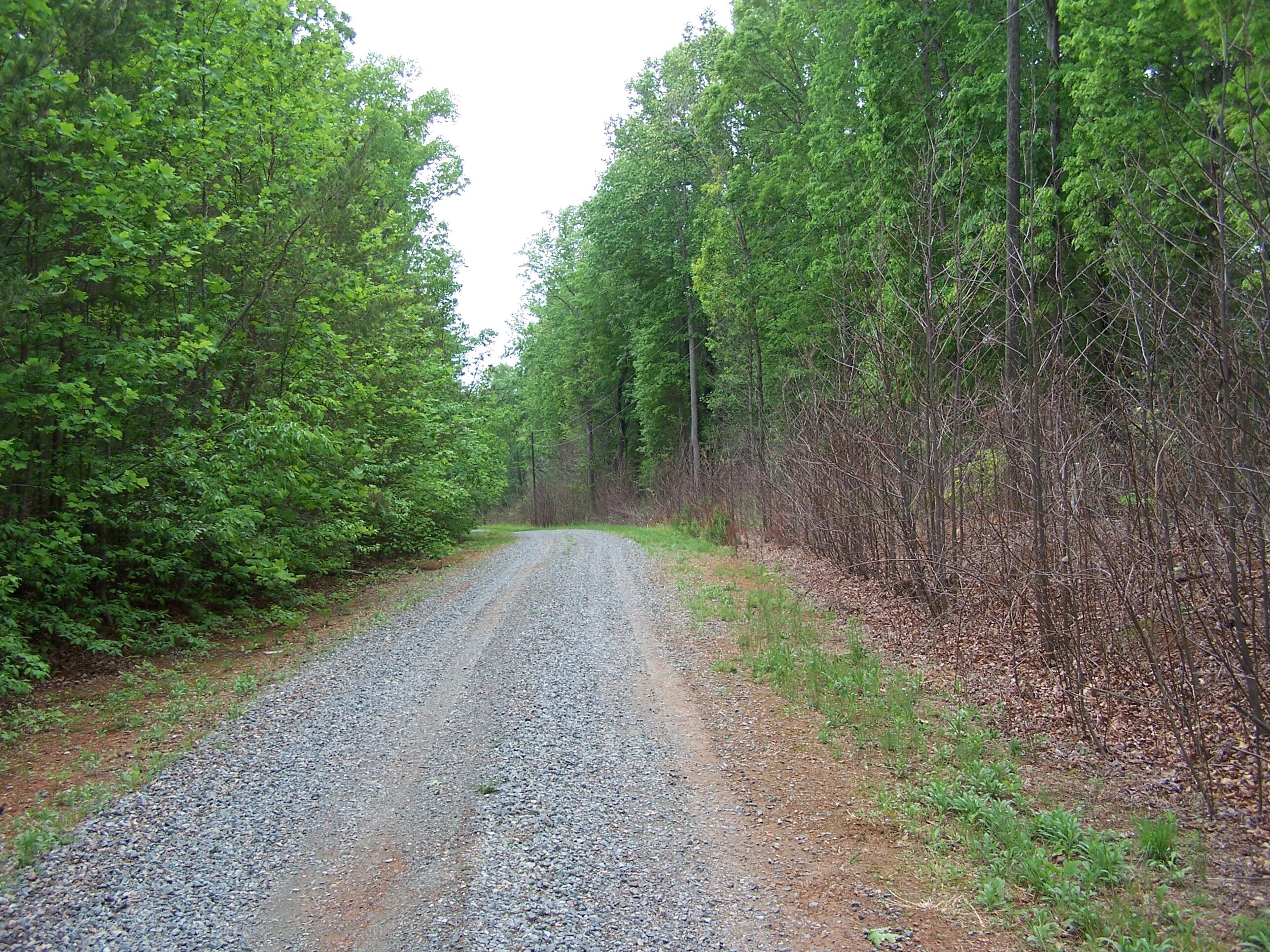 13 Drawbridge Road Pittsville, VA 24139 - Photo 8 of 63 Hunt tract 8 008