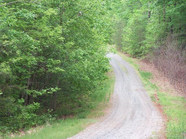 13 Drawbridge Road Pittsville, VA 24139 - Photo 10 of 63 Hunt tract 8 002