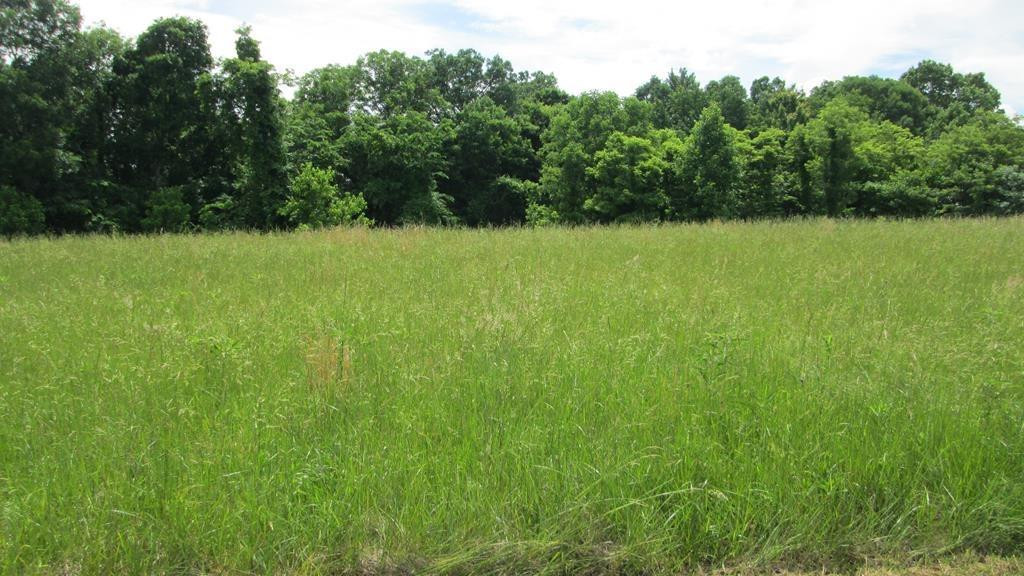 4 Hester Ridge Road Wallingford, KY 41093 - Photo 1 of 3 Photo 1