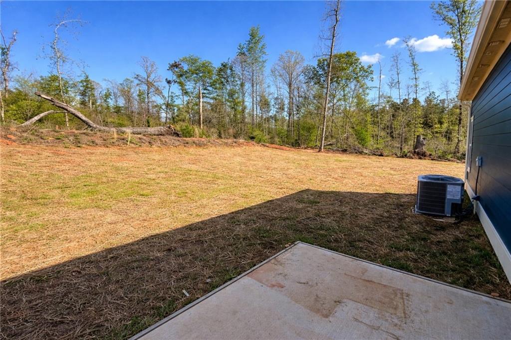 23 S Road Griffin, GA 30224 - Photo 30 of 32 a view of a yard with an ocean view