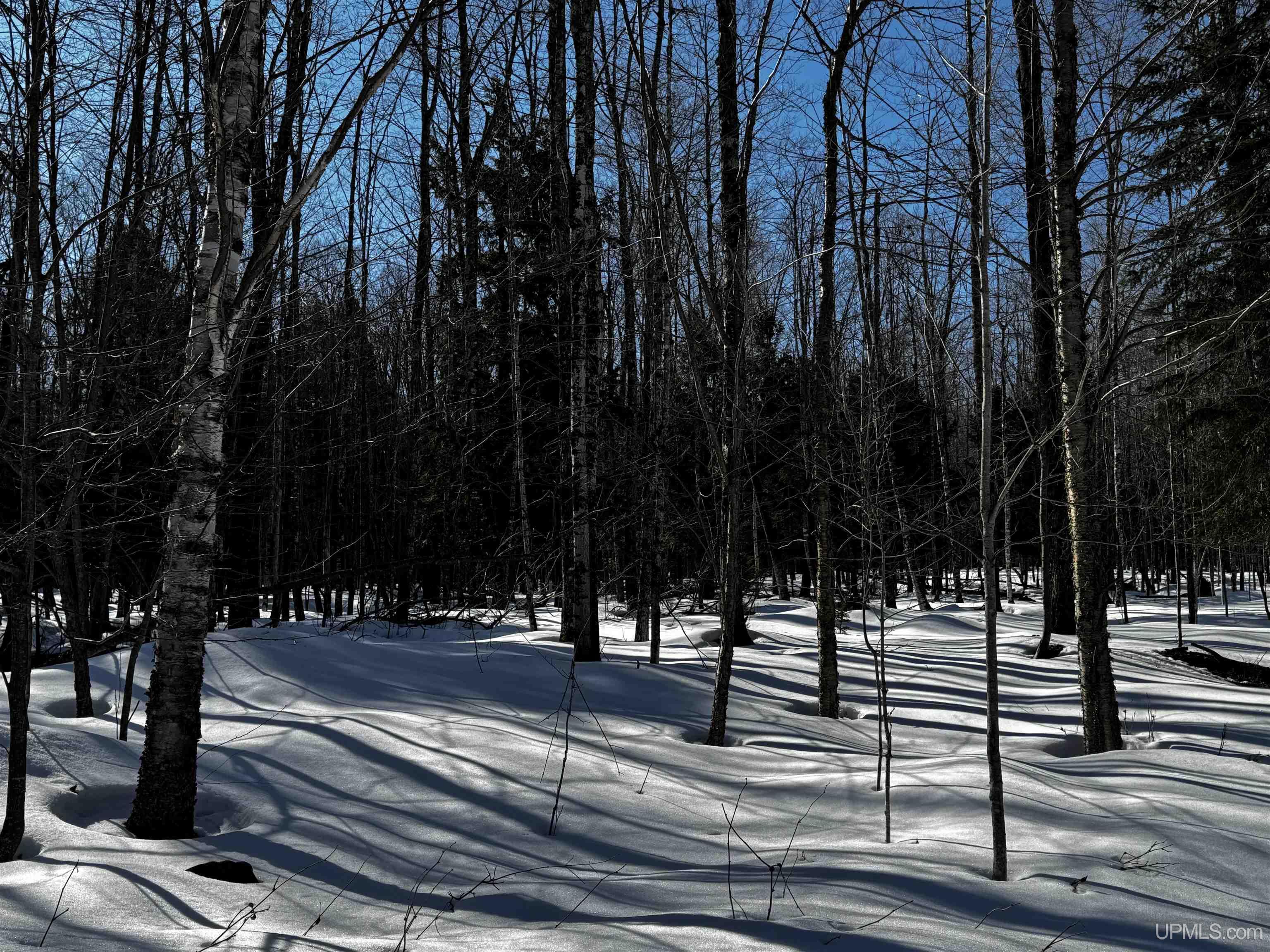 Tbd Lower Skanee Road Skanee, MI 49962 - Photo 3 of 6 Gallery Image 3