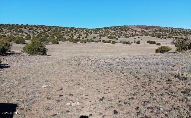 2121 County Road Concho, AZ 85924 - Photo 4 of 9 a view of sky