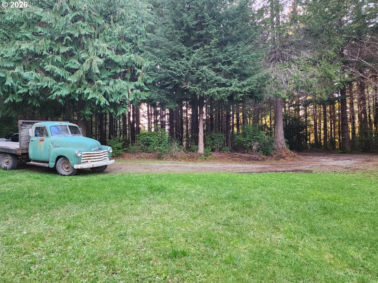 Hensley Hill Road Port Orford, OR 97465 - Photo 12 of 24