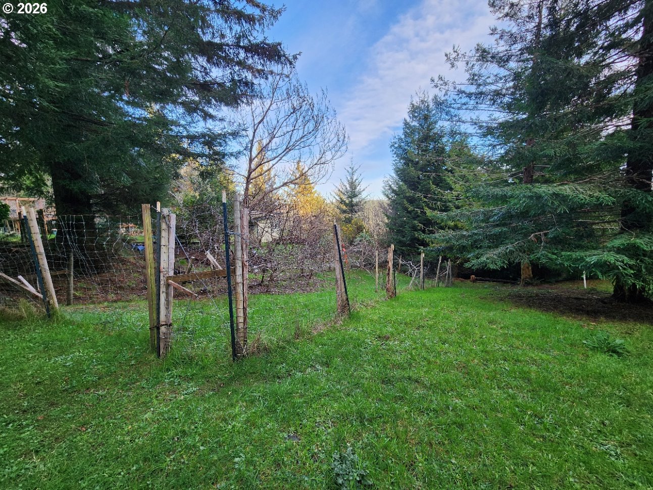 Hensley Hill Road Port Orford, OR 97465 - Photo 13 of 24