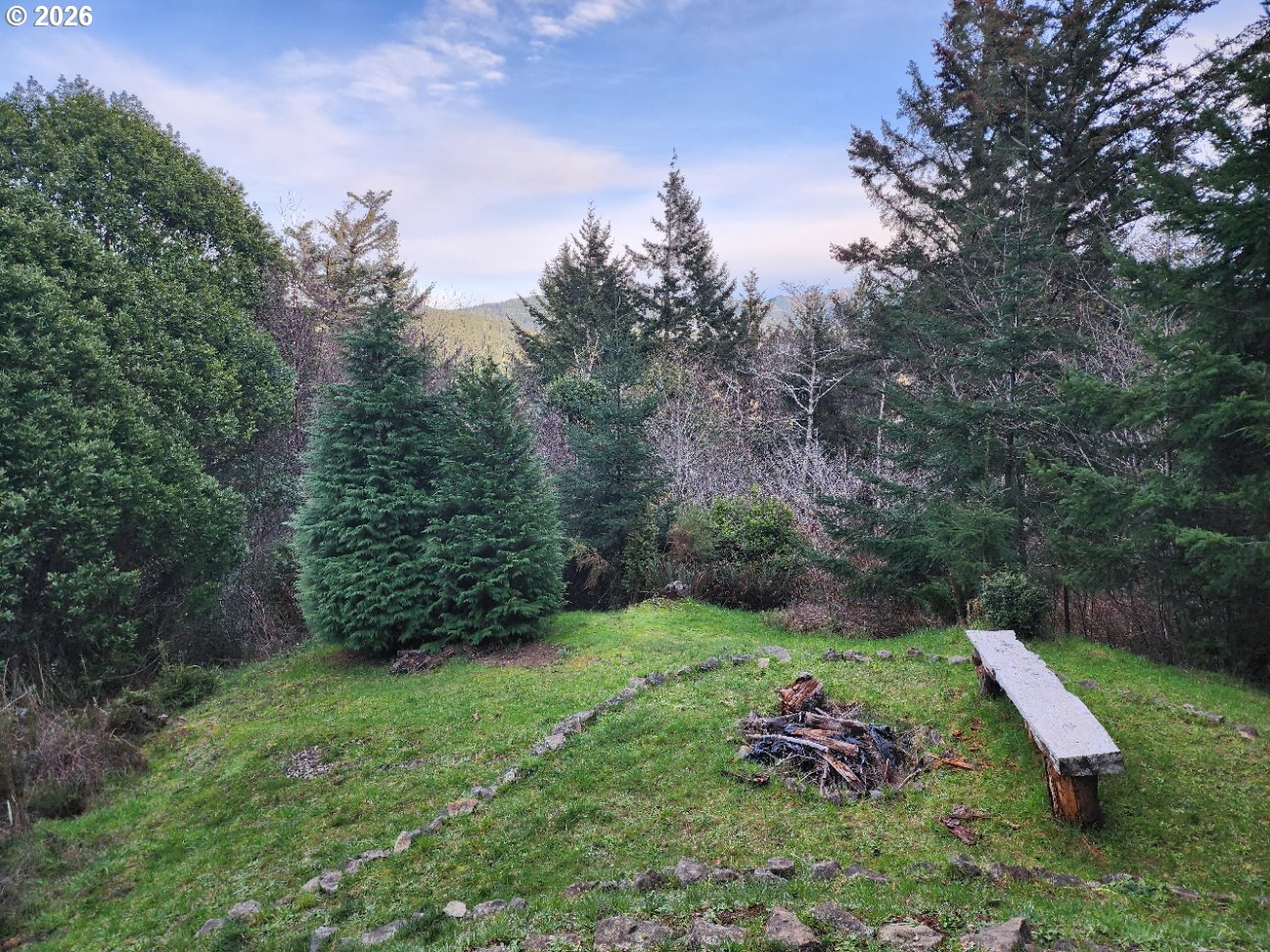 Hensley Hill Road Port Orford, OR 97465 - Photo 17 of 24