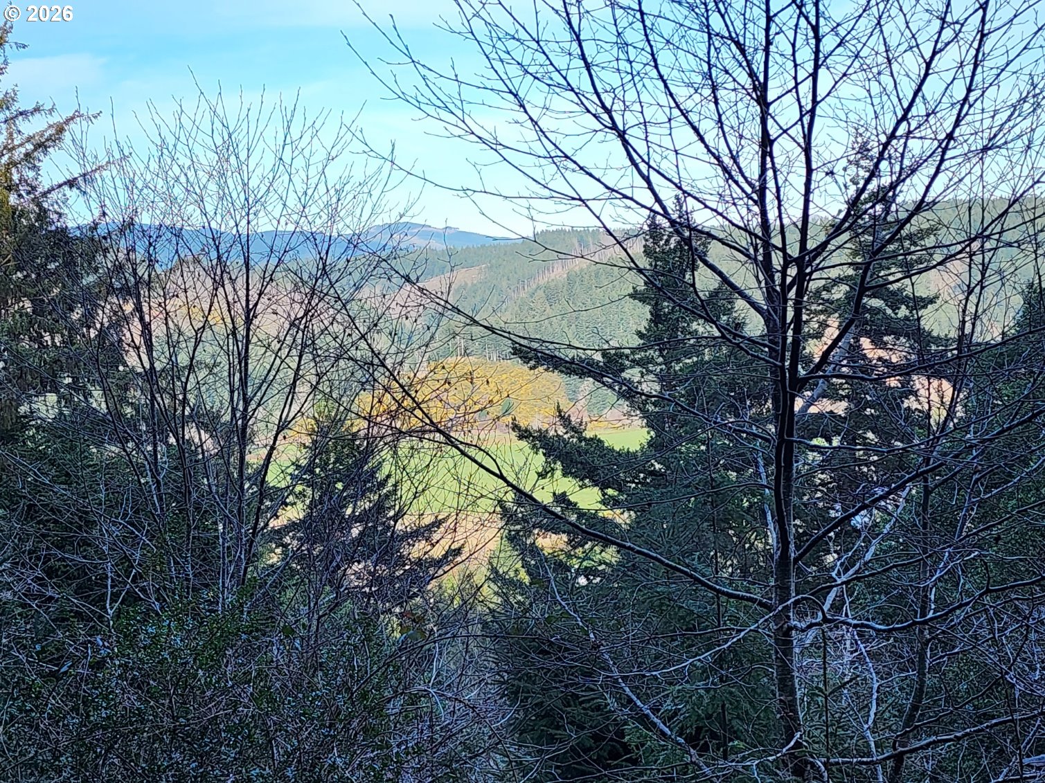 Hensley Hill Road Port Orford, OR 97465 - Photo 2 of 24