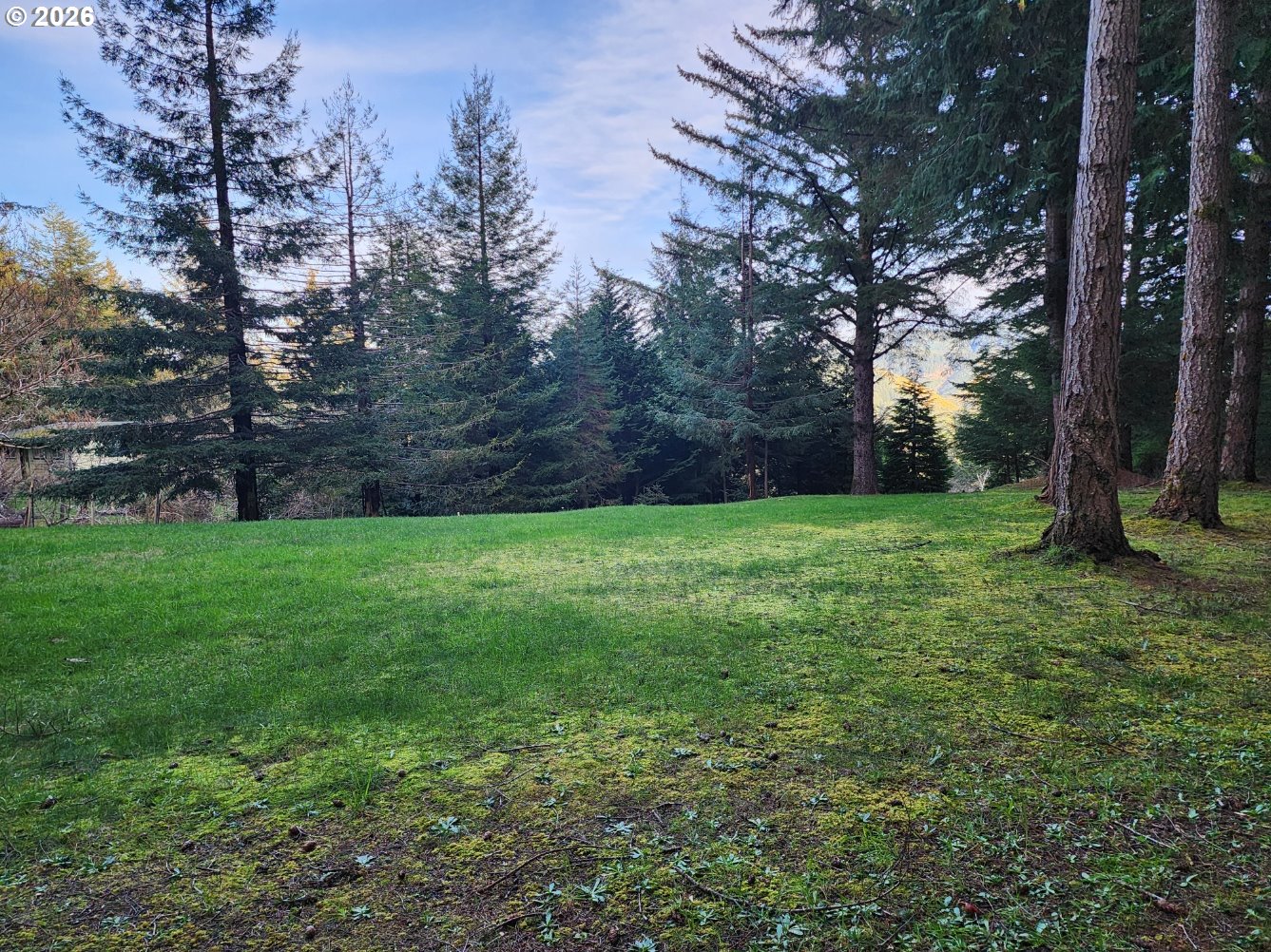 Hensley Hill Road Port Orford, OR 97465 - Photo 22 of 24