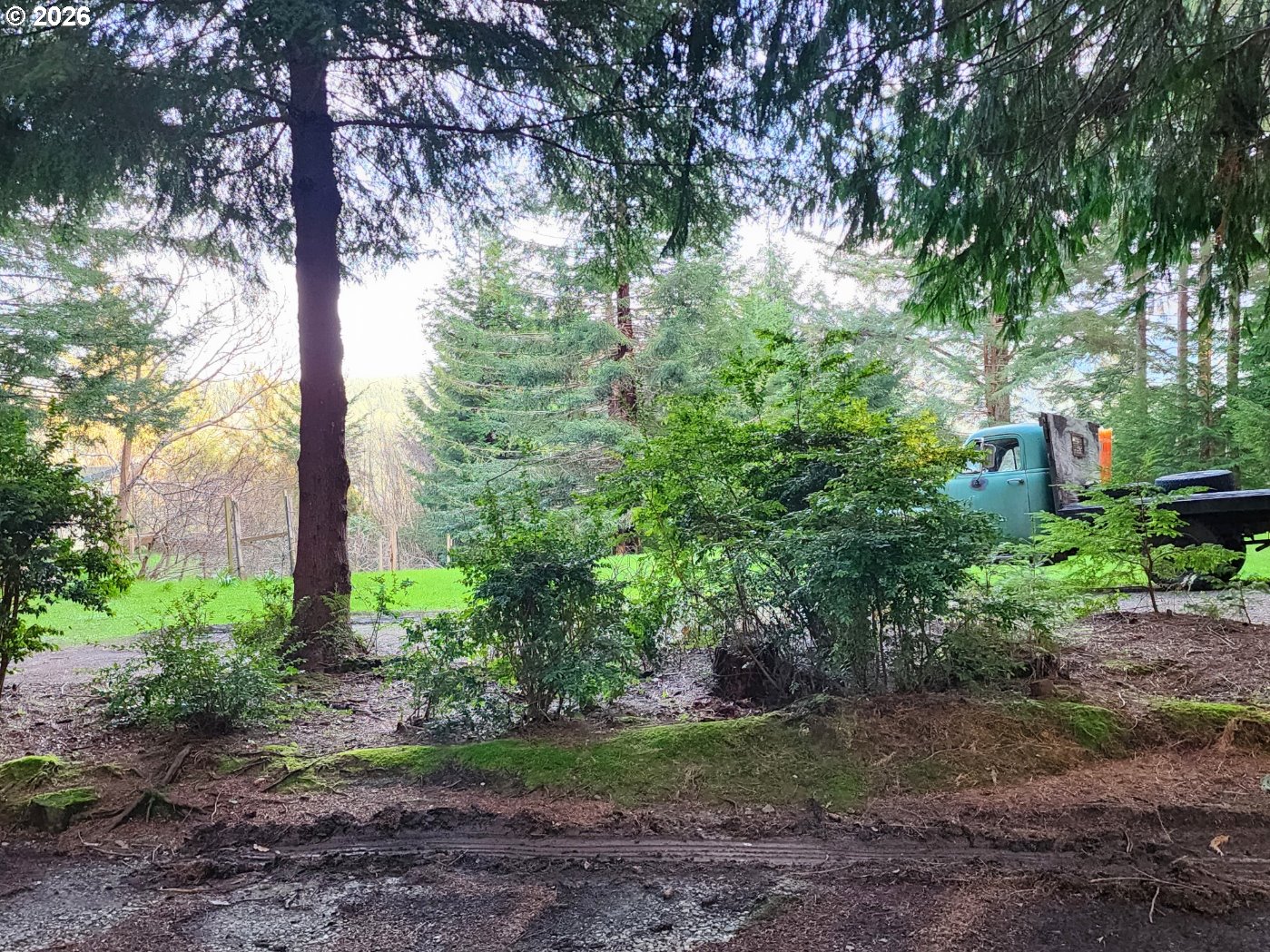 Hensley Hill Road Port Orford, OR 97465 - Photo 24 of 24