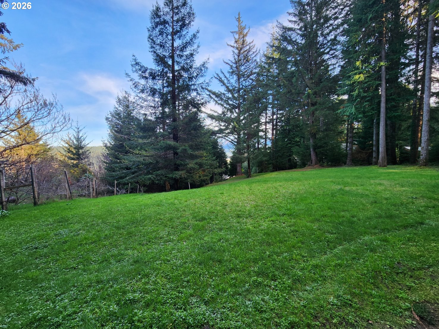 Hensley Hill Road Port Orford, OR 97465 - Photo 4 of 24