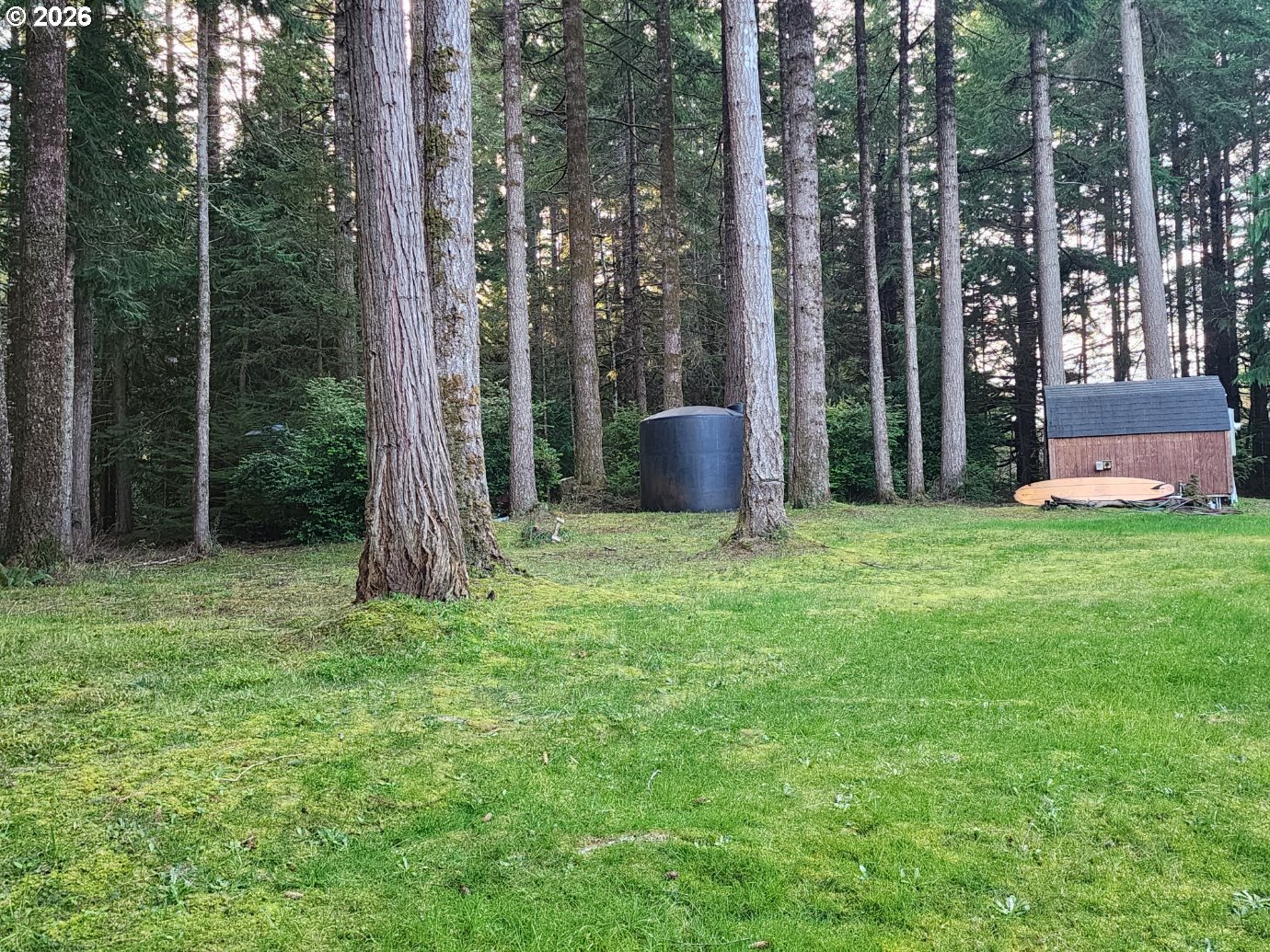 Hensley Hill Road Port Orford, OR 97465 - Photo 10 of 24